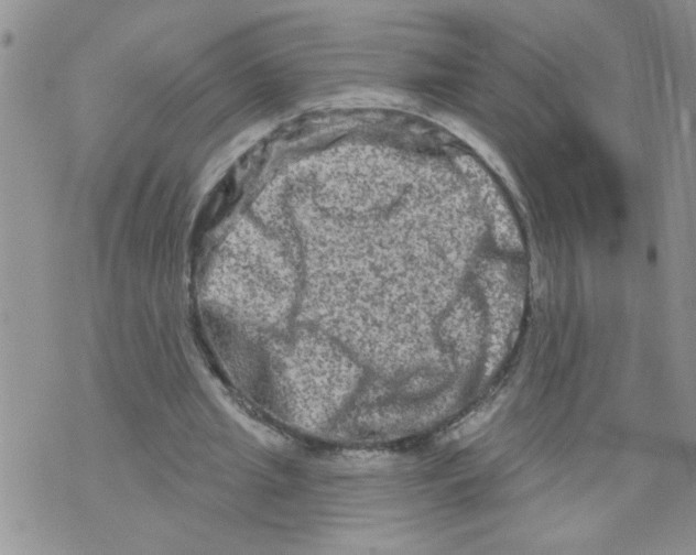 X0000073730437200608311849