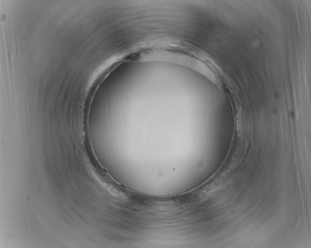 X0000073730438200608311849