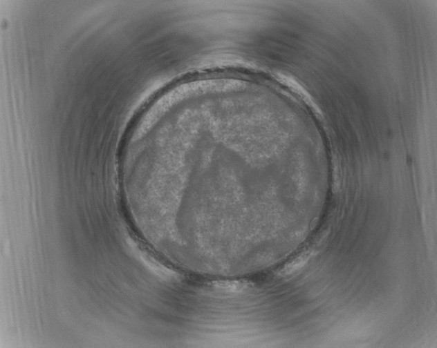 X0000073730439200608311849