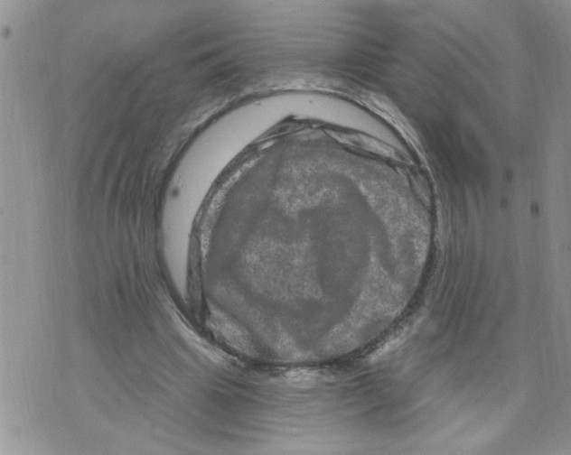 X0000073730441200608311849