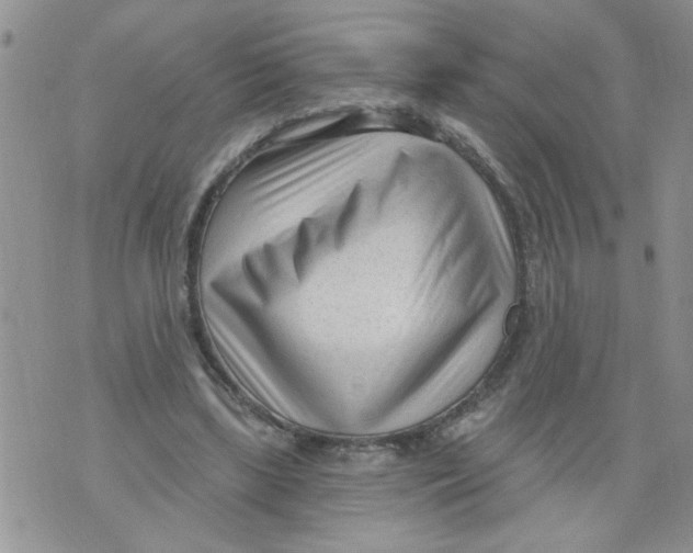 X0000073730443200608311849