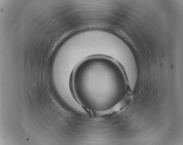 X0000073730444200608311849