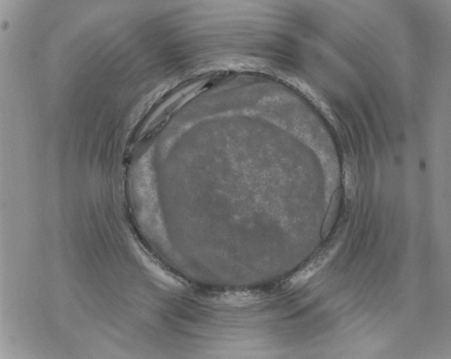 X0000073730445200608311849