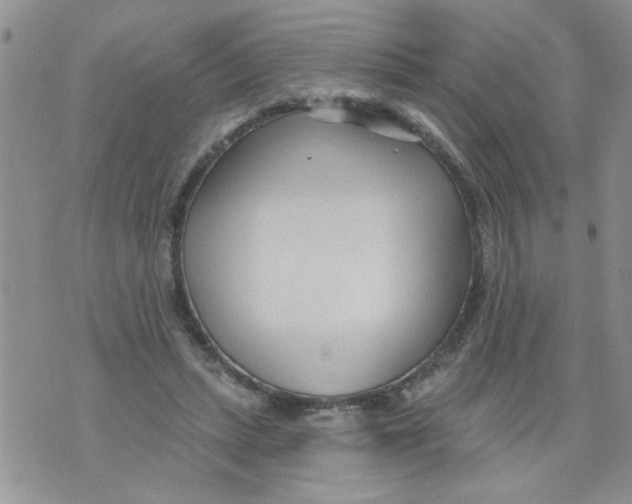 X0000073730447200608311849