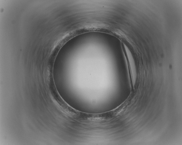 X0000073730448200608311849