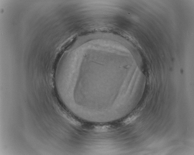 X0000073730450200608311849