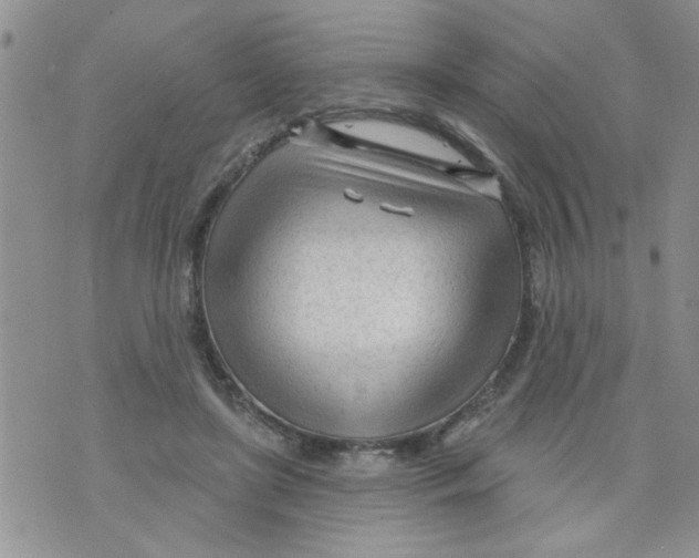 X0000073730451200608311849