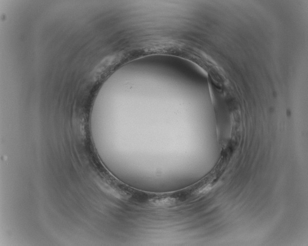 X0000073730452200608311849