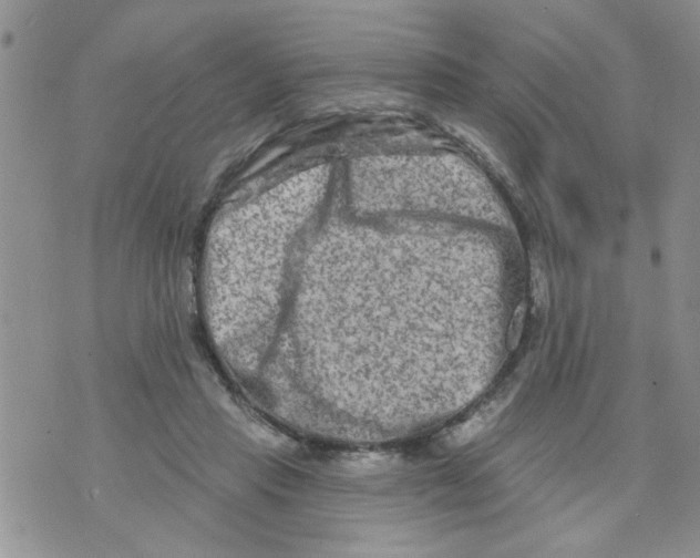 X0000073730453200608311849