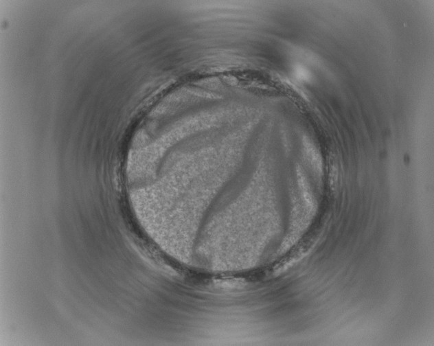 X0000073730455200608311849