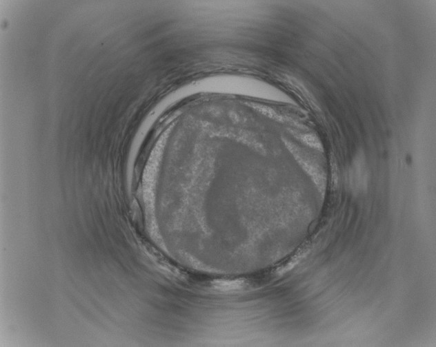 X0000073730457200608311849