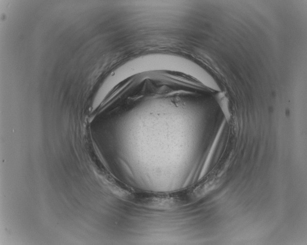 X0000073730458200608311849