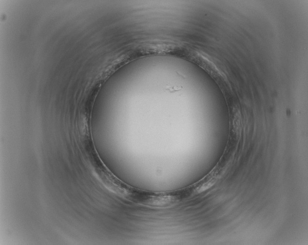 X0000073730459200608311849