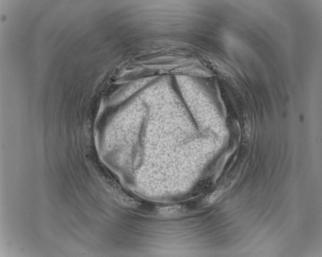 X0000073730461200608311849