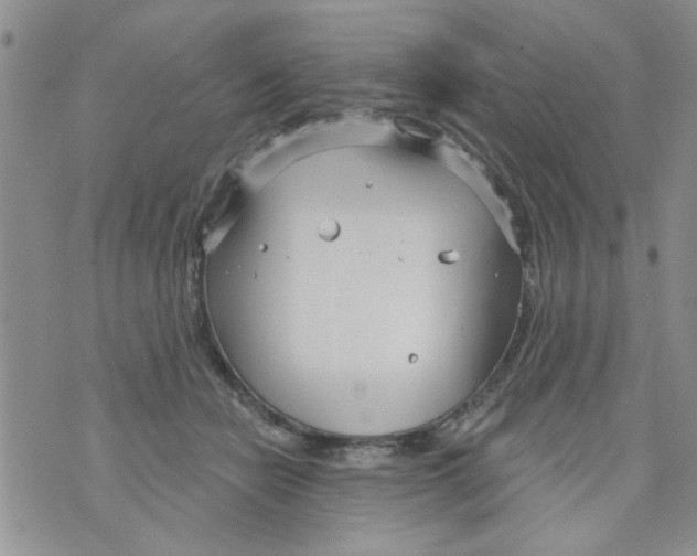 X0000073730462200608311849