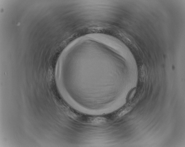 X0000073730463200608311849