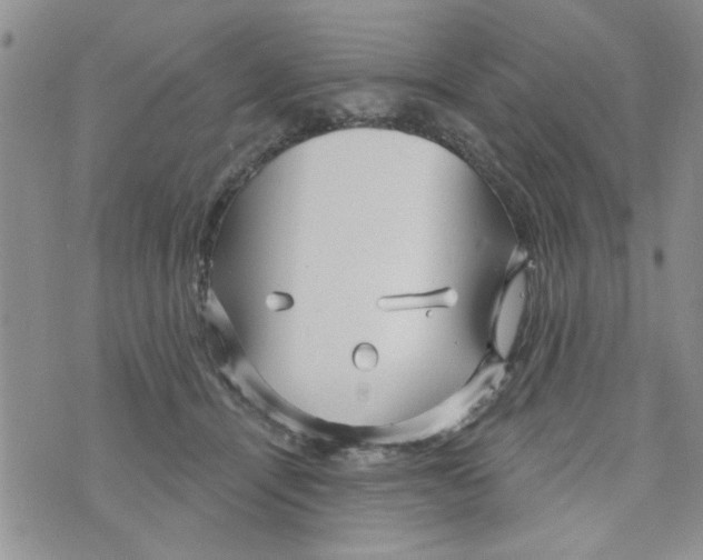 X0000073730464200608311849