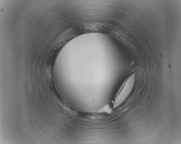 X0000073730466200608311849