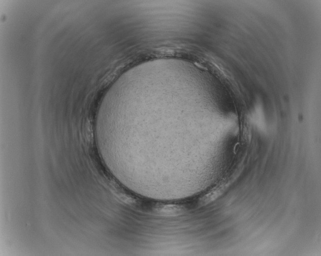 X0000073730467200608311849