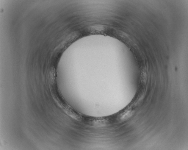 X0000073730468200608311849