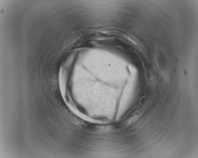 X0000073730469200608311849