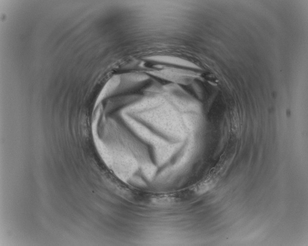 X0000073730470200608311849