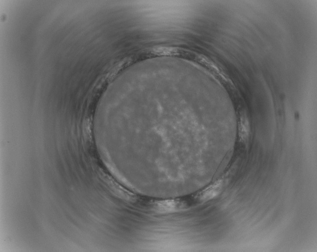 X0000073730473200608311849