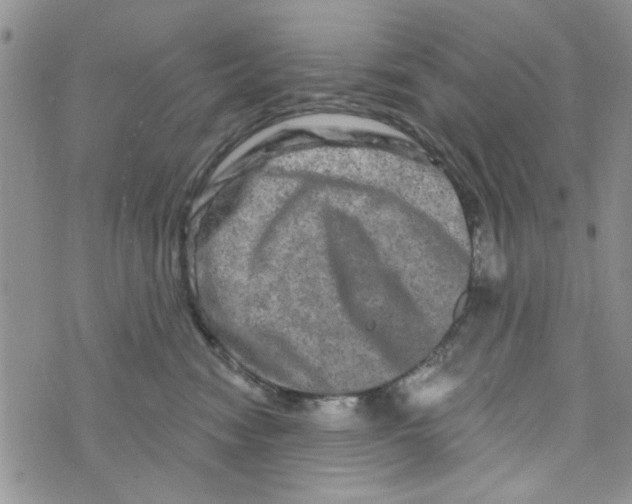 X0000073730474200608311849