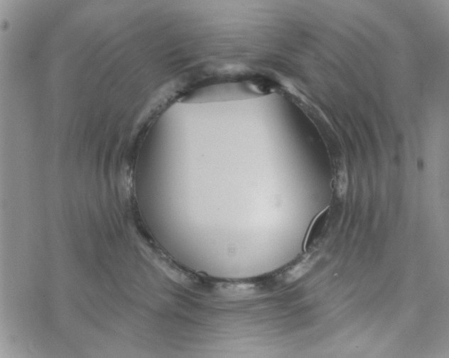 X0000073730476200608311849