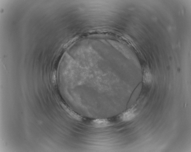 X0000073730477200608311849