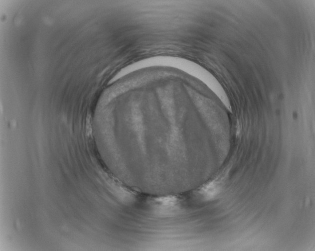 X0000073730478200608311849