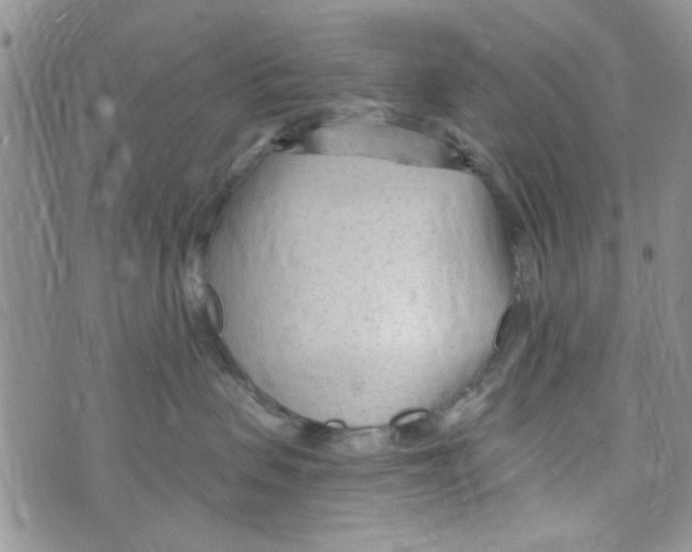 X0000073730479200608311849