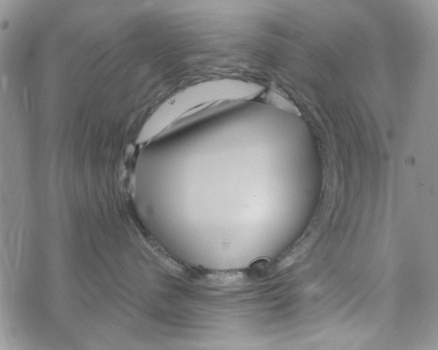 X0000073730480200608311849