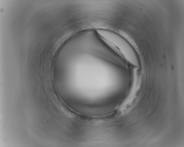 X0000073730481200608311849