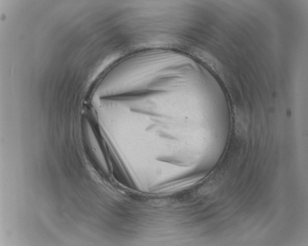 X0000073730482200608311849