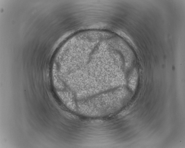 X0000073730483200608311849