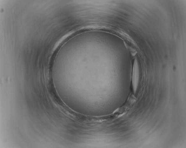 X0000073730484200608311849