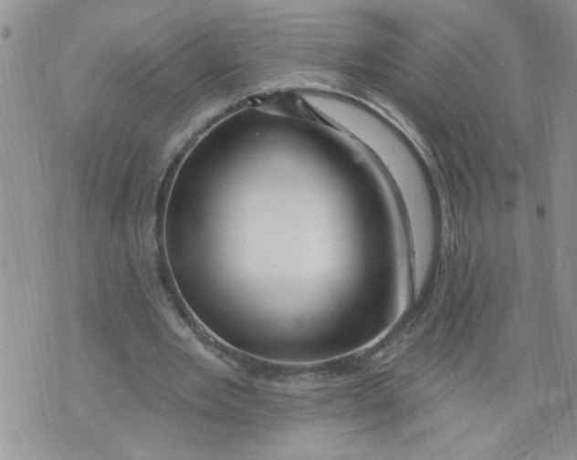 X0000073730485200608311849