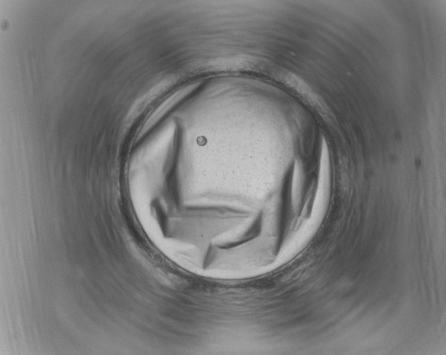 X0000073730486200608311849