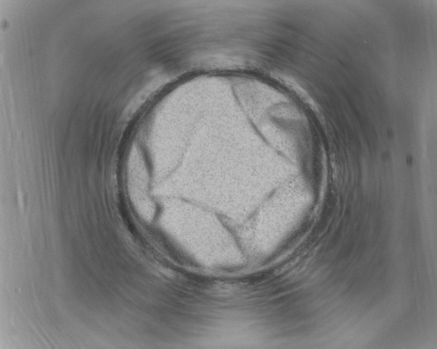 X0000073730487200608311849