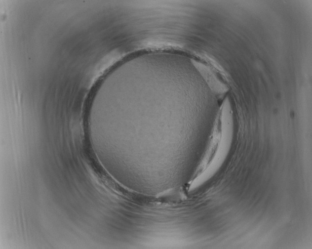 X0000073730488200608311849