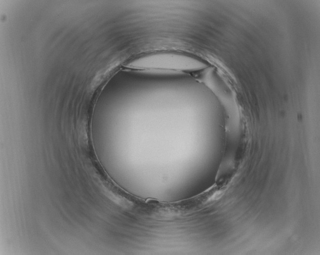 X0000073730489200608311849