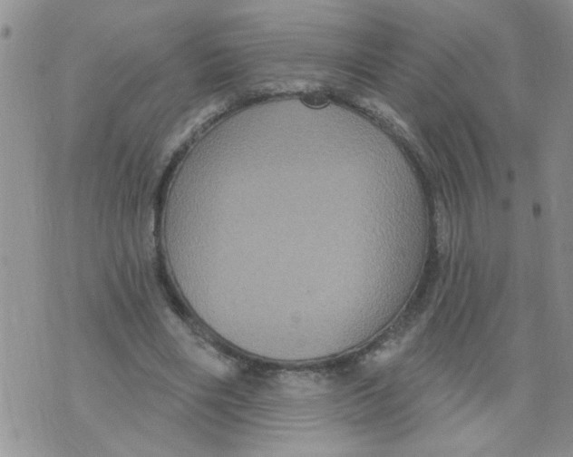 X0000073730490200608311849