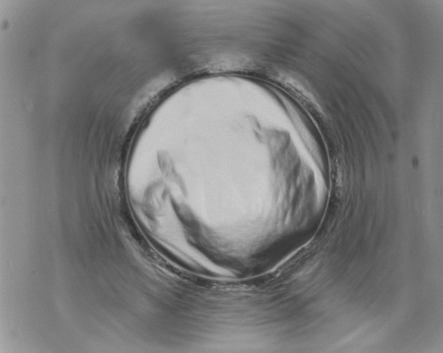 X0000073730491200608311849