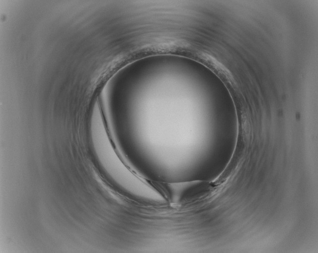 X0000073730493200608311848