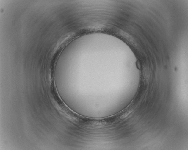 X0000073730494200608311848