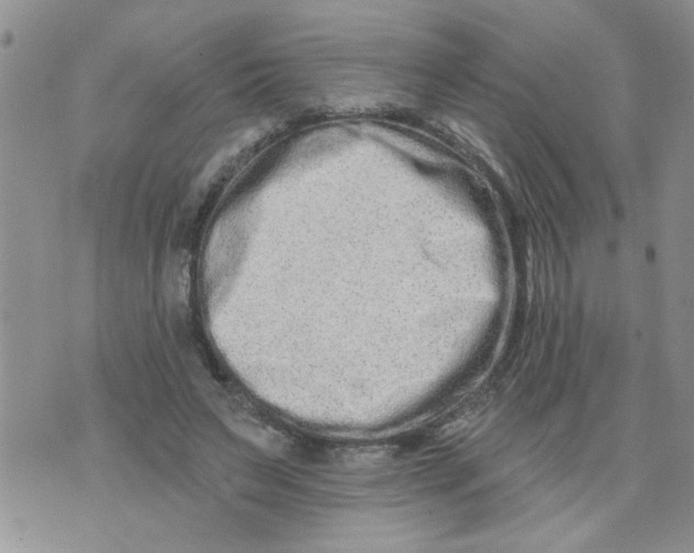 X0000073730495200608311848