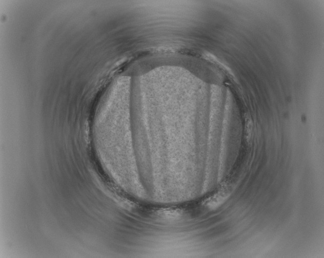 X0000073730498200608311848