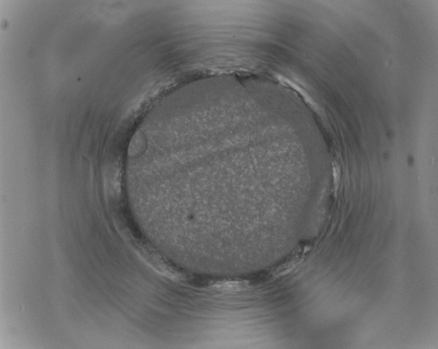 X0000073730499200608311848