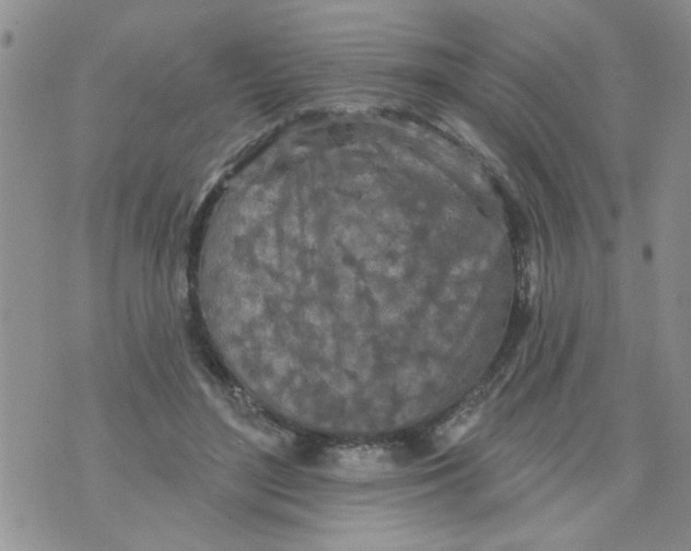 X0000073730500200608311848